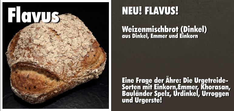 NEU! FLAVUS!  Weizenmischbrot (Dinkel) aus Dinkel, Emmer und Einkorn       Eine Frage der Ähre: Die Urgetreide- Sorten mit Einkorn,Emmer, Khorasan,  Bauländer Spelz, Urdinkel, Urroggen  und Urgerste!  Flavus